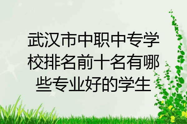 武汉市中职中专学校排名前十名有哪些专业好的学生