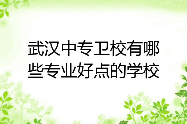 武汉中专卫校有哪些专业好点的学校