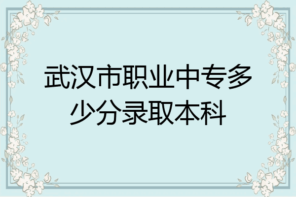 武汉市职业中专多少分录取本科