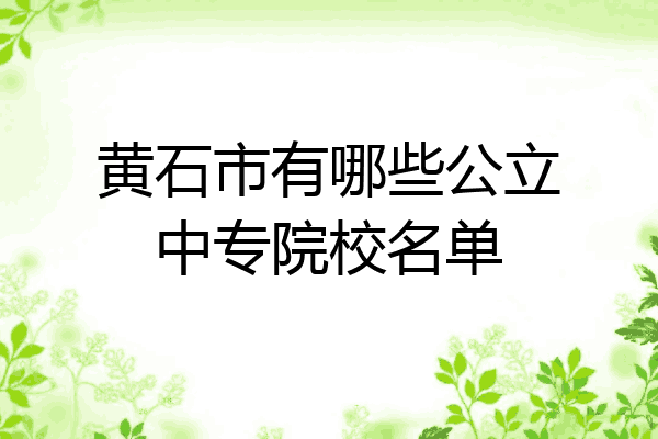 黄石市有哪些公立中专院校名单