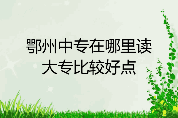 鄂州中专在哪里读大专比较好点