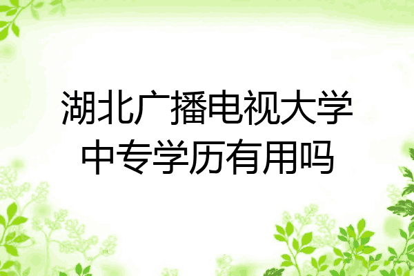 湖北广播电视大学中专学历有用吗