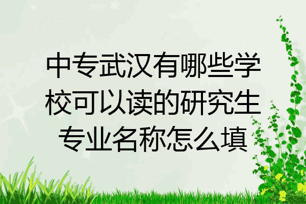 中专武汉有哪些学校可以读的研究生专业名称怎么填