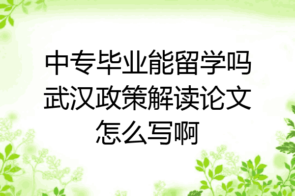 中专毕业能留学吗武汉政策解读论文怎么写啊