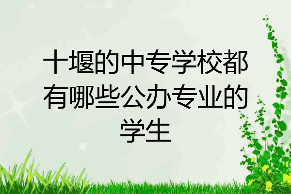 十堰的中专学校都有哪些公办专业的学生