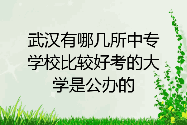 武汉有哪几所中专学校比较好考的大学是公办的