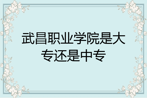 武昌职业学院是大专还是中专