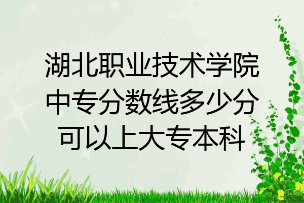 湖北职业技术学院中专分数线多少分可以上大专本科