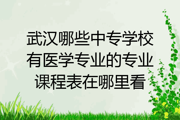武汉哪些中专学校有医学专业的专业课程表在哪里看