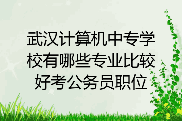 武汉计算机中专学校有哪些专业比较好考公务员职位