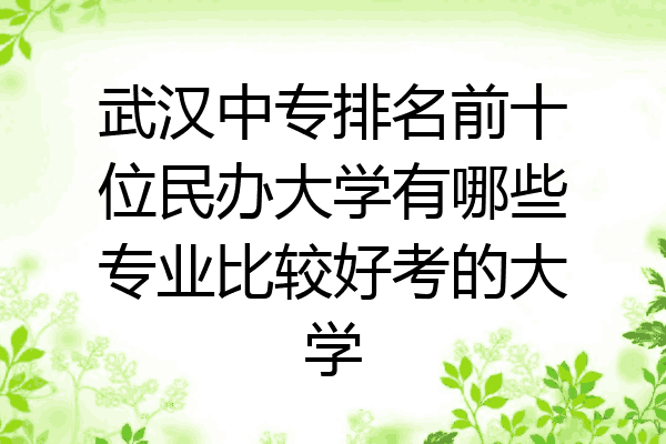 武汉中专排名前十位民办大学有哪些专业比较好考的大学