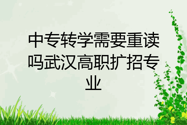 中专转学需要重读吗武汉高职扩招专业