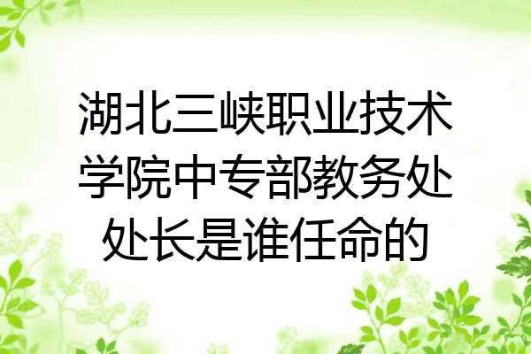湖北三峡职业技术学院中专部教务处处长是谁任命的