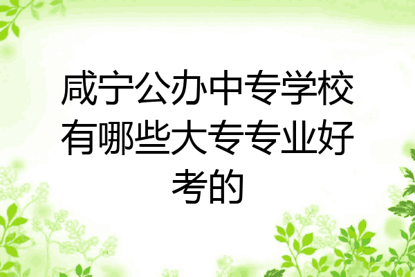 咸宁公办中专学校有哪些大专专业好考的