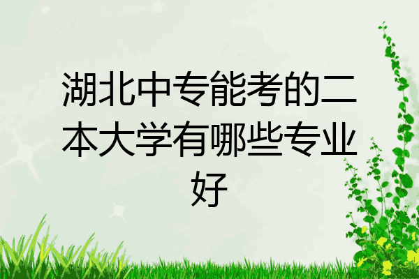 湖北中专能考的二本大学有哪些专业好