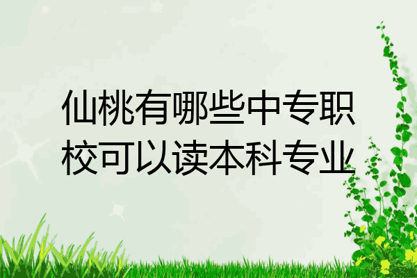 仙桃有哪些中专职校可以读本科专业
