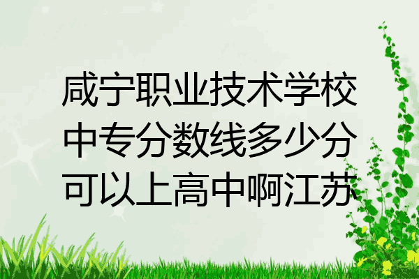 咸宁职业技术学校中专分数线多少分可以上高中啊江苏