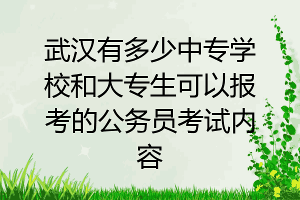 武汉有多少中专学校和大专生可以报考的公务员考试内容