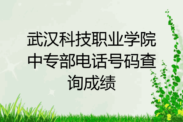 武汉科技职业学院中专部电话号码查询成绩