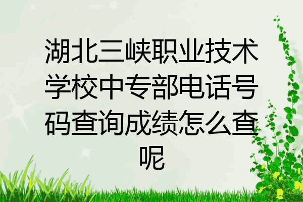 湖北三峡职业技术学校中专部电话号码查询成绩怎么查呢