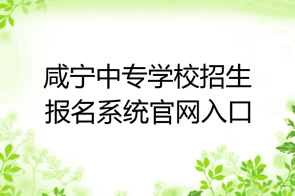 咸宁中专学校招生报名系统官网入口