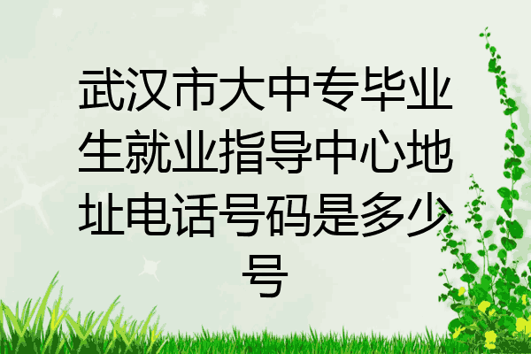 武汉市大中专毕业生就业指导中心地址电话号码是多少号