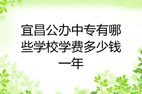 宜昌公办中专有哪些学校学费多少钱一年