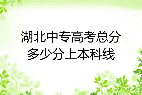 湖北中专高考总分多少分上本科线
