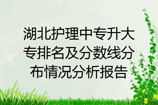 湖北护理中专升大专排名及分数线分布情况分析报告