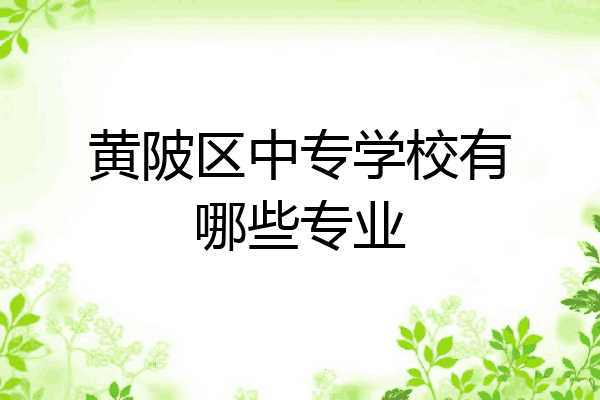 黄陂区中专学校有哪些专业