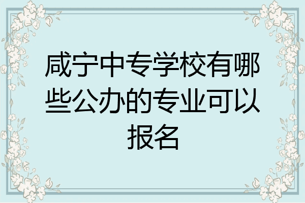 咸宁中专学校有哪些公办的专业可以报名