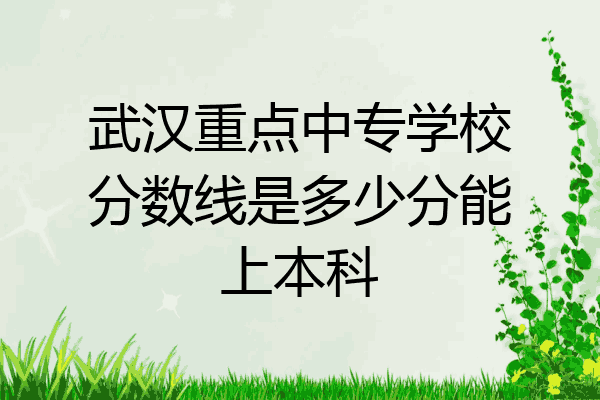 武汉重点中专学校分数线是多少分能上本科