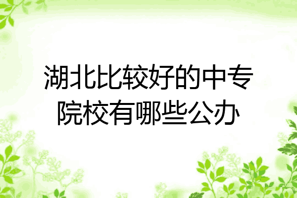 湖北比较好的中专院校有哪些公办
