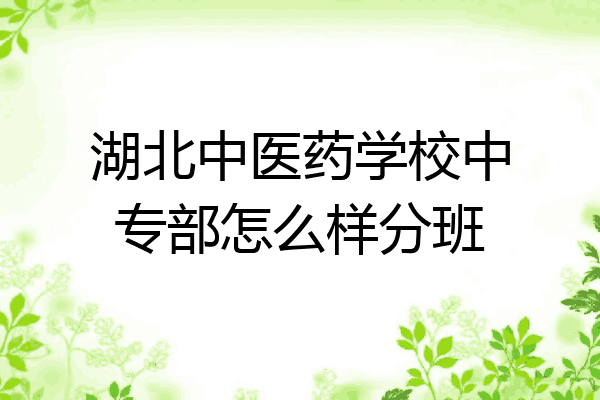 湖北中医药学校中专部怎么样分班