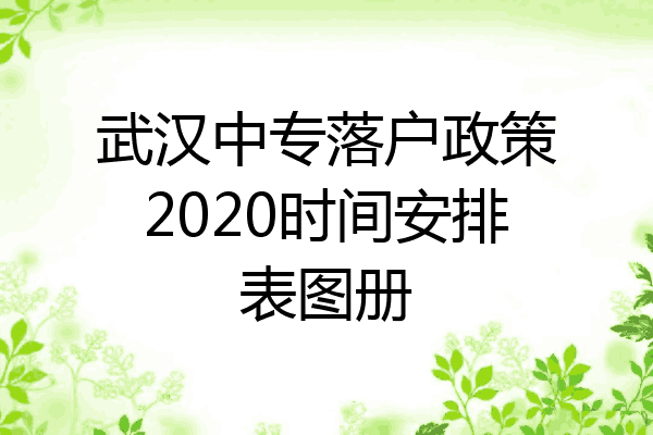 武汉中专落户政策2020时间安排表图册