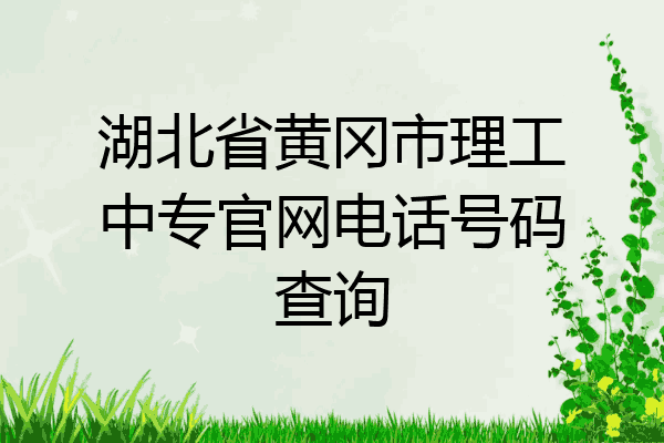 湖北省黄冈市理工中专官网电话号码查询