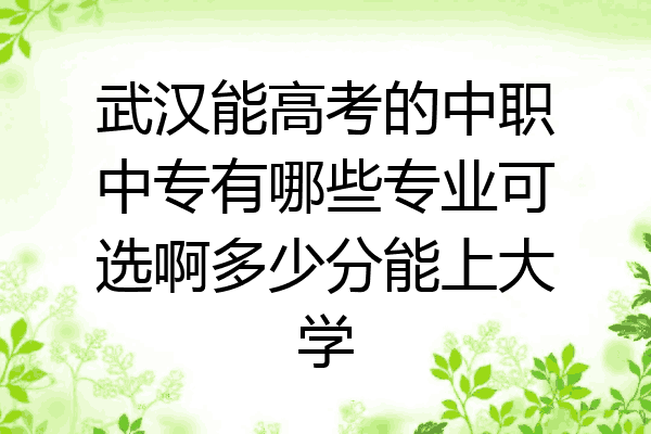 武汉能高考的中职中专有哪些专业可选啊多少分能上大学
