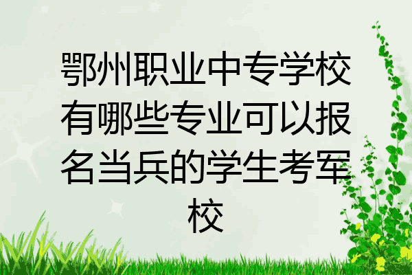 鄂州职业中专学校有哪些专业可以报名当兵的学生考军校