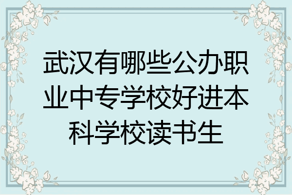 武汉有哪些公办职业中专学校好进本科学校读书生