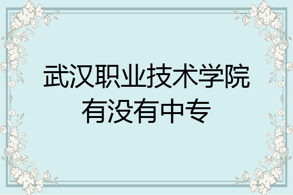 武汉职业技术学院有没有中专