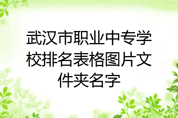 武汉市职业中专学校排名表格图片文件夹名字
