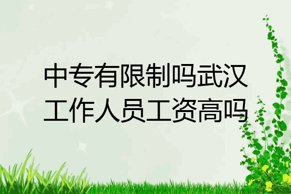 中专有限制吗武汉工作人员工资高吗