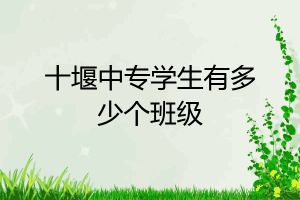十堰中专学生有多少个班级