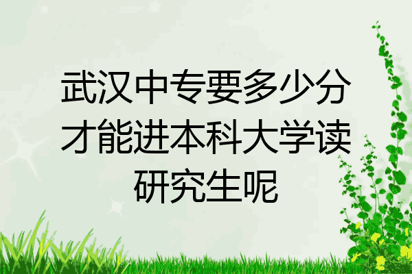 武汉中专要多少分才能进本科大学读研究生呢