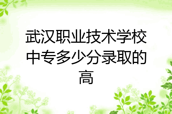 武汉职业技术学校中专多少分录取的高