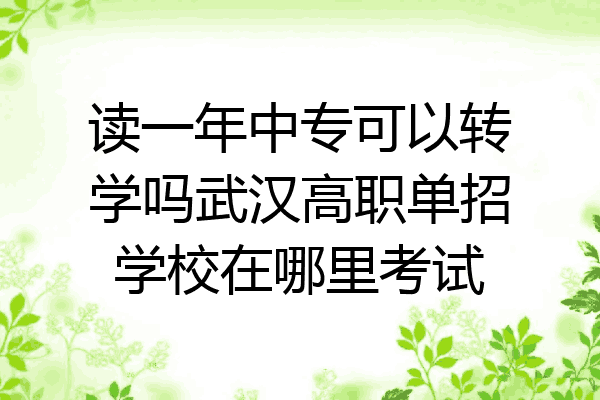 读一年中专可以转学吗武汉高职单招学校在哪里考试