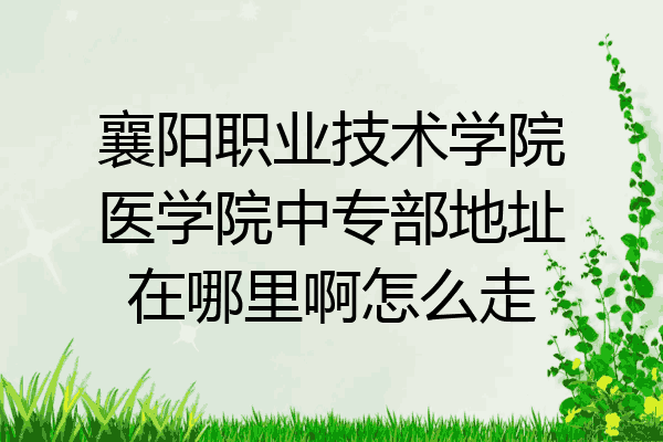 襄阳职业技术学院医学院中专部地址在哪里啊怎么走