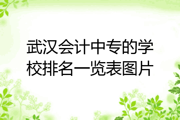 武汉会计中专的学校排名一览表图片