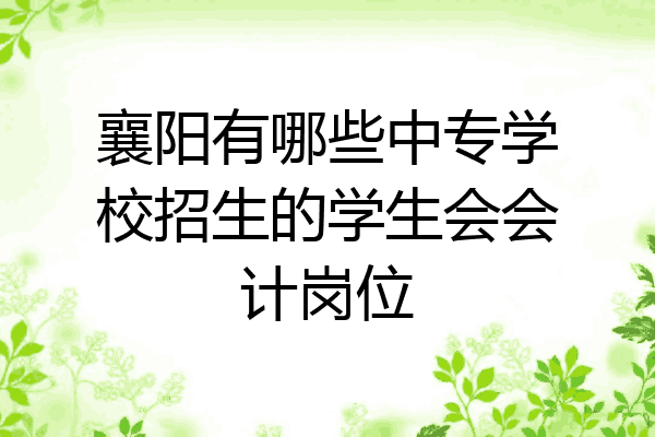 襄阳有哪些中专学校招生的学生会会计岗位