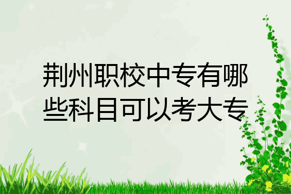 荆州职校中专有哪些科目可以考大专